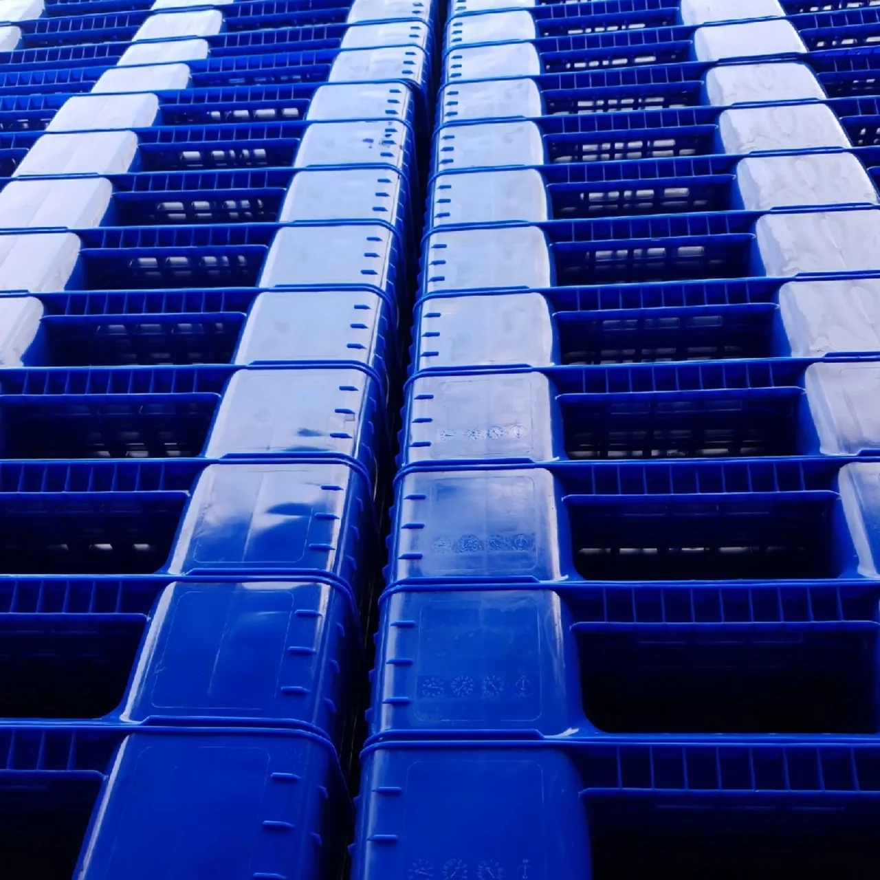 plastic crates arranged and assembled in the warehouse