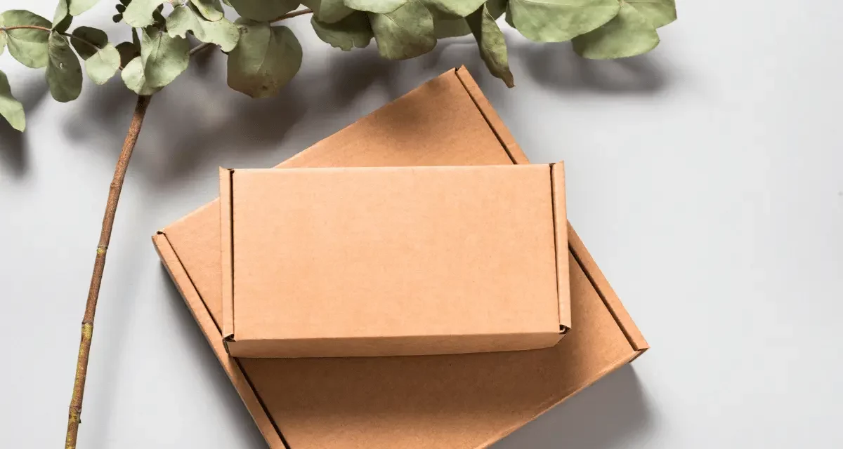 Eco-Friendly Packaging: Benefits and Impact On Brand